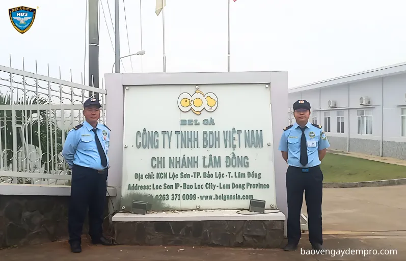 dịch vụ bảo vệ