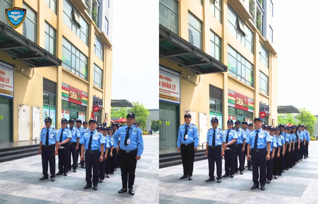 dịch vụ bảo vệ tại New Horizon City
